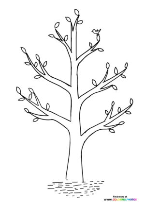 Spring tree starting to bloom