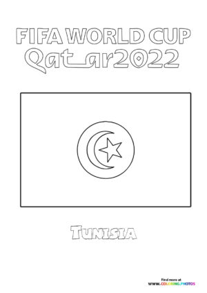 Tunisia World Cup flag