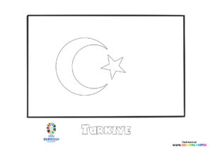 Turkiye flag Euro 2024