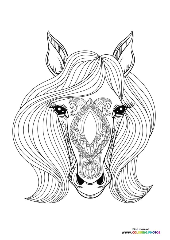 Detailed unicorn head with flowing mane and decorative forehead markings coloring page