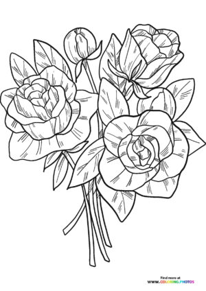Valentines roses coloring page