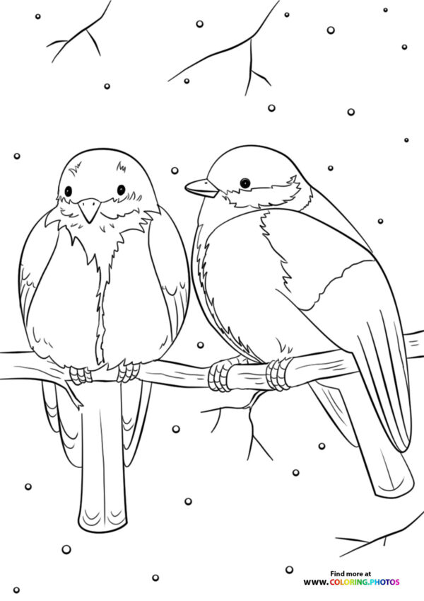 Winter animals coloring page