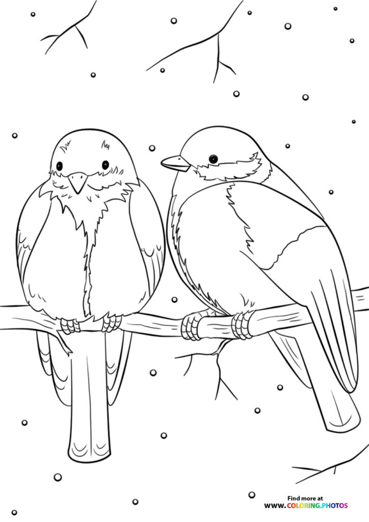 Two fluffy winter birds perched together on a branch with falling snowflakes coloring page