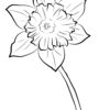Yellow Easter Daffodil coloring page