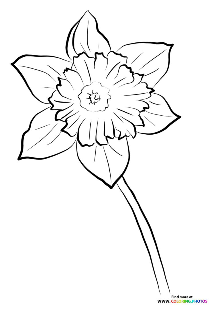 Easter flowers Coloring Pages for kids Free and easy print or download