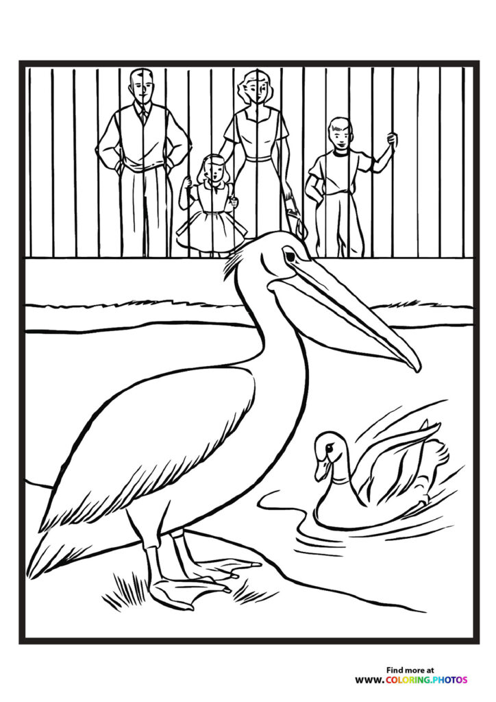 Large pelican with long bill and detailed feathers standing in zoo enclosure with visitors watching from behind fence and small duck swimming coloring page