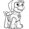Zuma coloring page