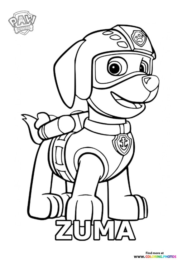 Zuma coloring page