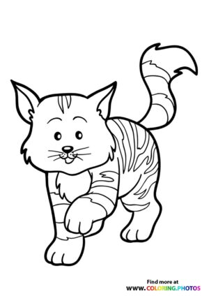 Cat animal walking coloring page