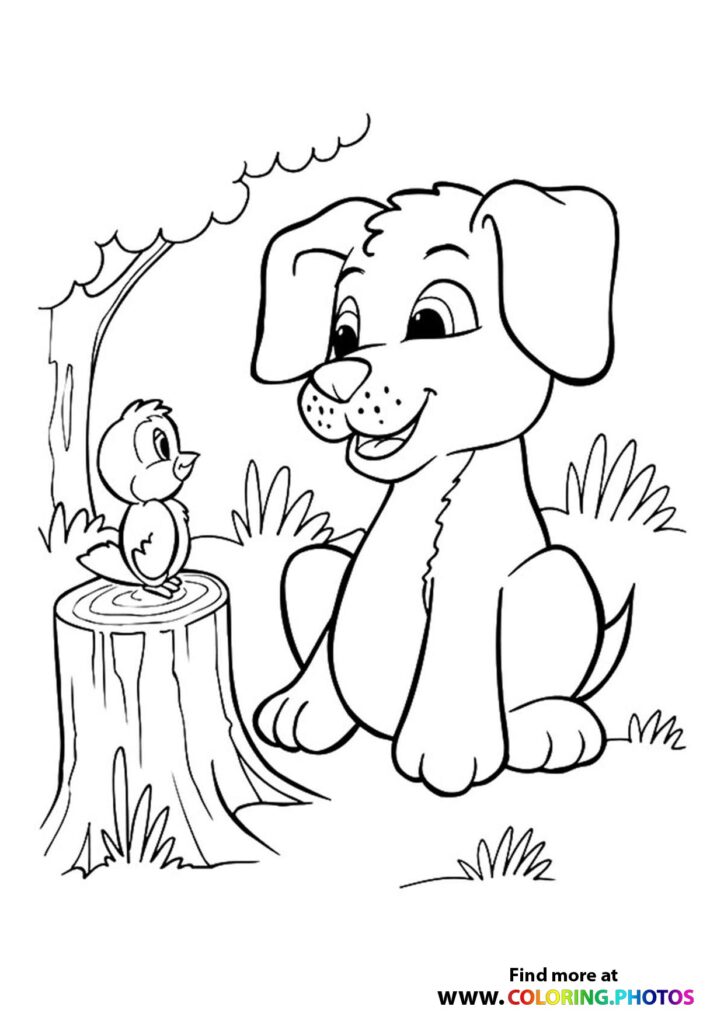 Bird - Coloring Pages for kids