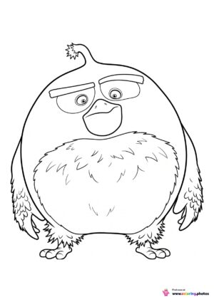 round bird