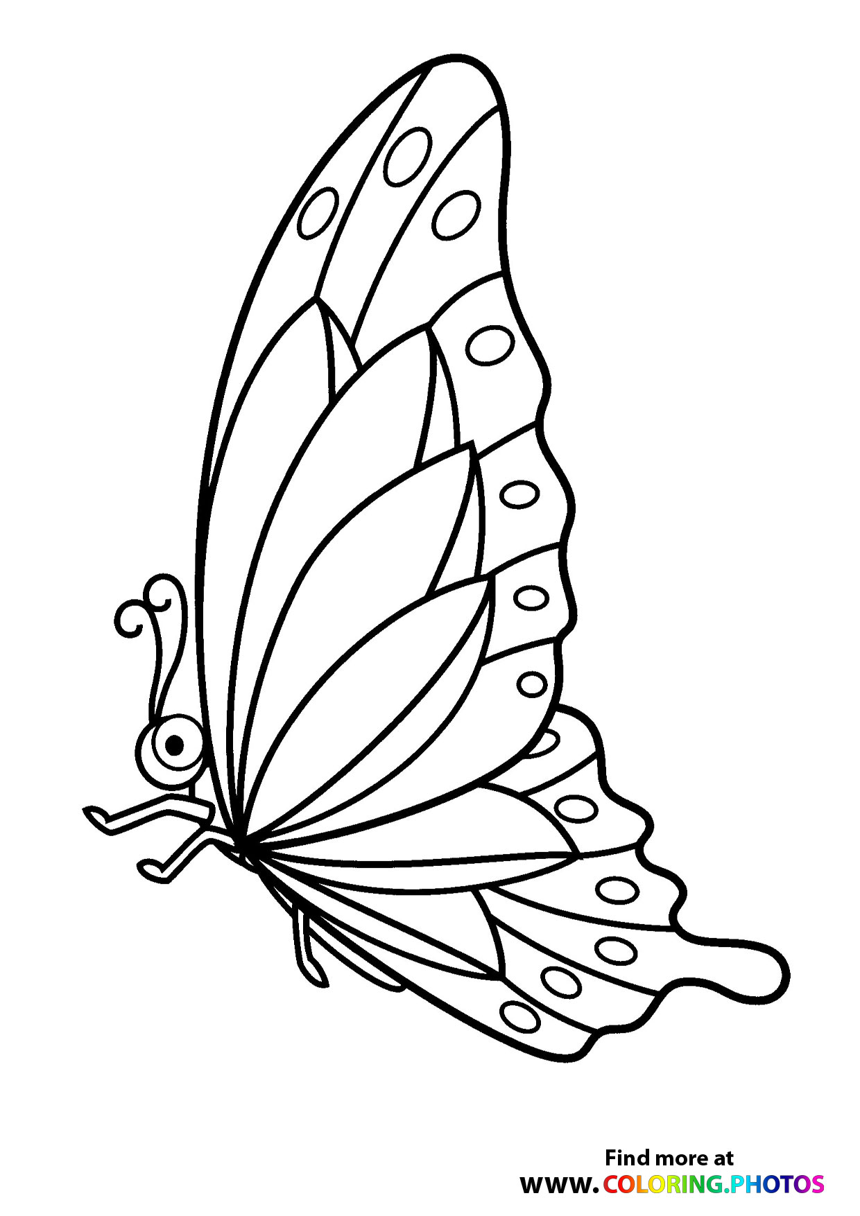 Butterfly with beautiful wings - Coloring Pages for kids