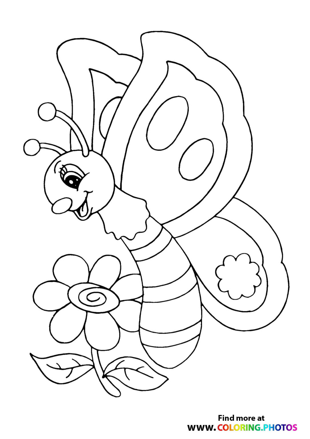 Butterfly On A Flower - Coloring Pages For Kids