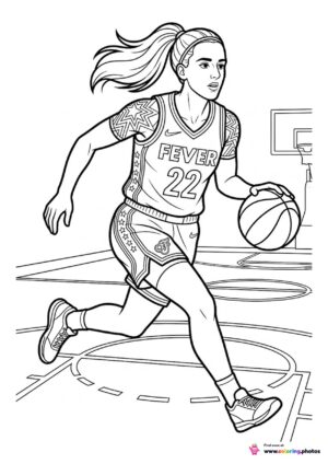 basketball court