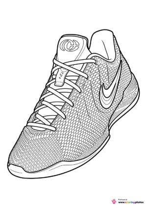 basketball shoe