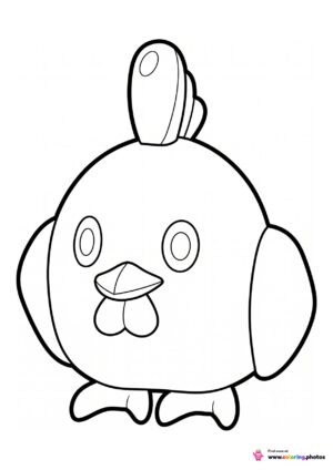Chikipi