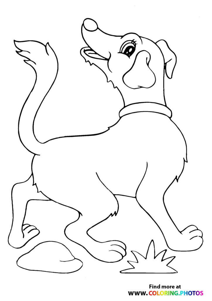 A playful dog jumping up with tongue out to catch a frisbee coloring page