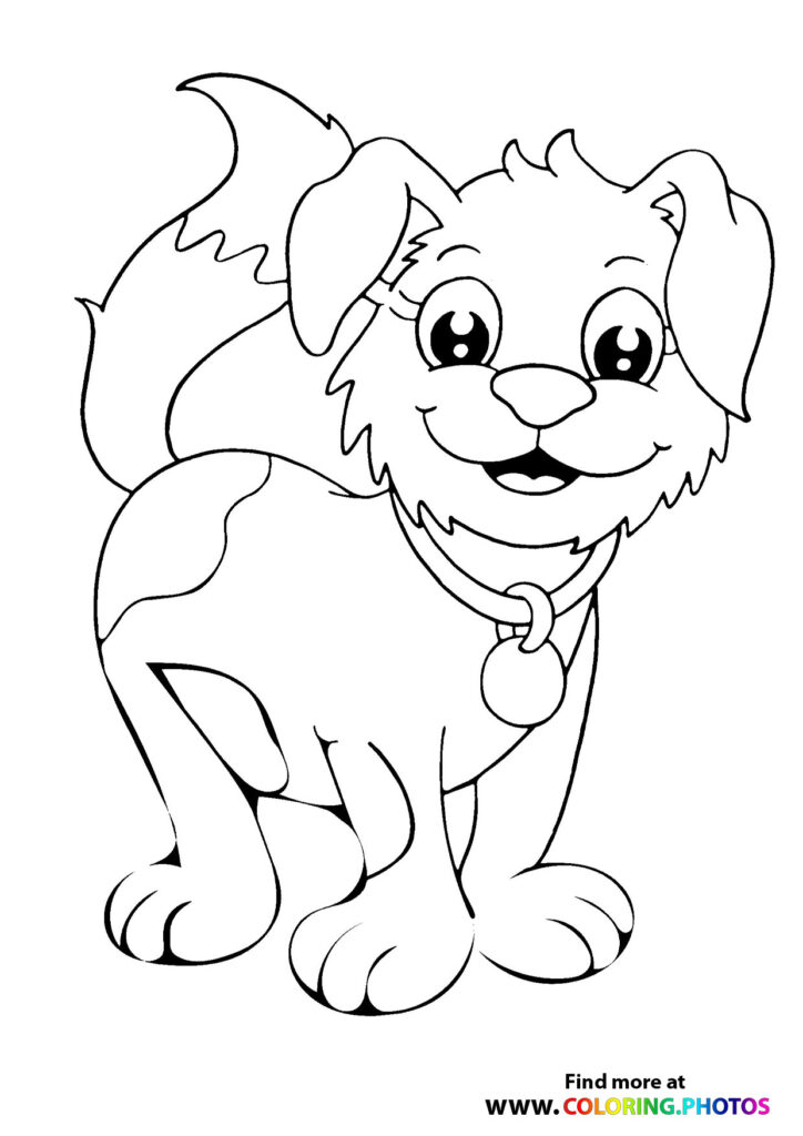 Happy fluffy dog with big eyes, collar, and tag coloring page