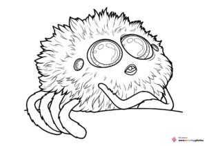 Spider