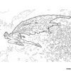 jo magical adventure coloring page