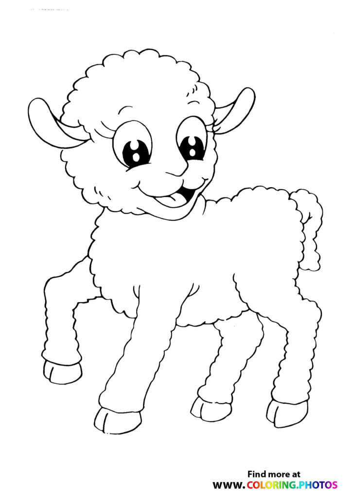 10 Adorable Sheep Coloring Pages for Kids to Enjoy