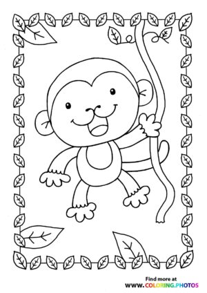 Monkey hanging from liana