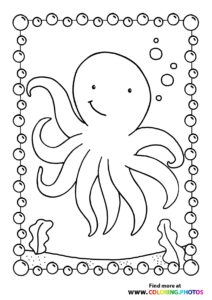 Octopi