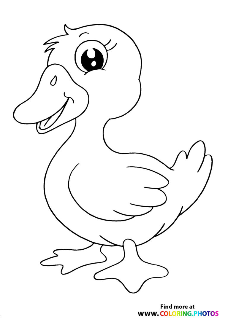 Little cute duck - Coloring Pages for kids